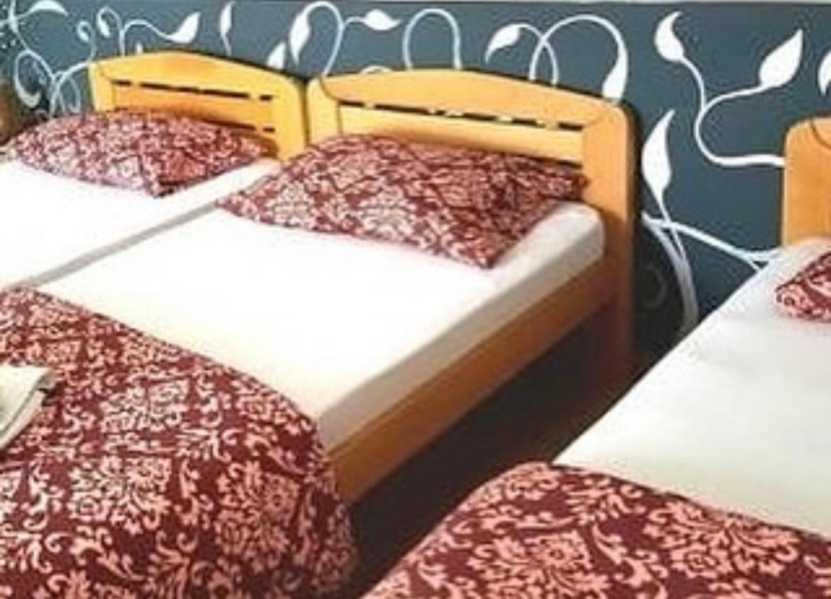 Guesthouse Vladimir & Ana Pančevo Екстериор снимка